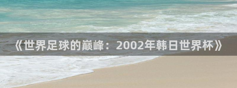 足球世界杯赛程：《世界足球的巅峰：2002年韩日世界杯》