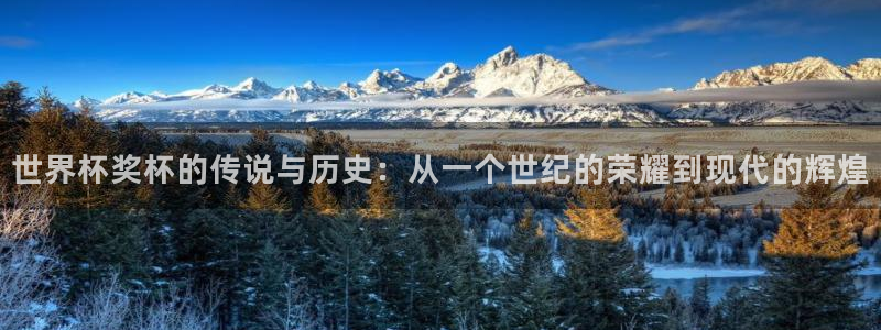 2026世界杯直播免费观看：世界杯奖杯的传说与历史：从一个世纪的荣耀到现代的辉煌