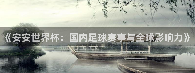 世界杯比赛时间：《安安世界杯：国内足球赛事与全球影响力》