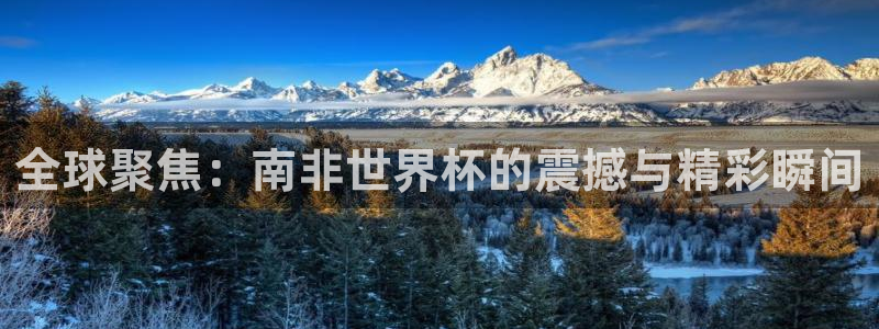 2026足球世界杯赛程时间表：全球聚焦：南非世界杯的震撼与精彩瞬间