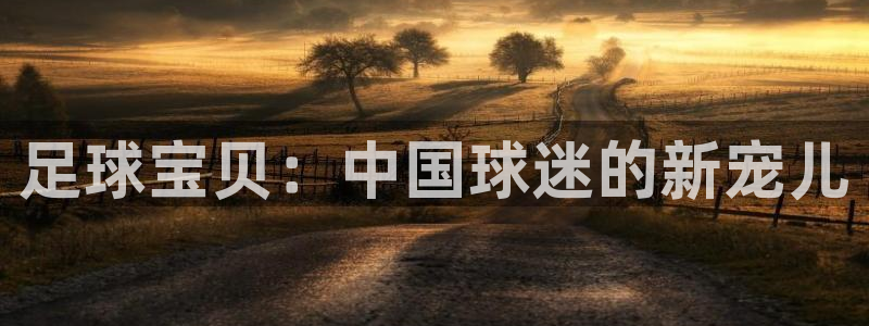 世界杯足球2026：足球宝贝：中国球迷的新宠儿