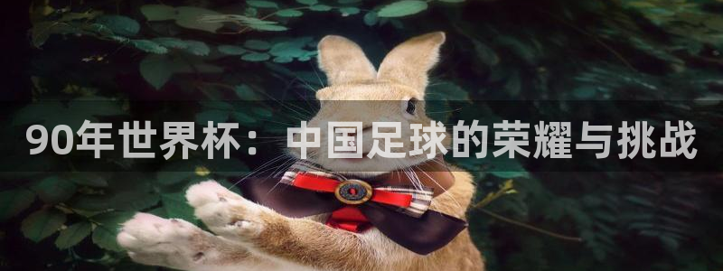 世界杯决赛圈球队：90年世界杯：中国足球的荣耀与挑战