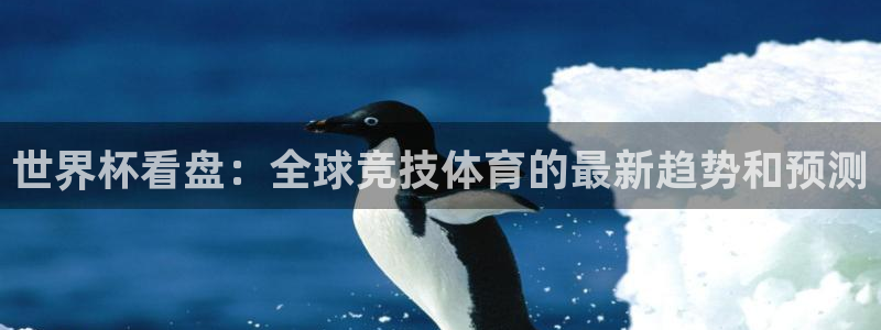 世界杯球队排名：世界杯看盘：全球竞技体育的最新趋势和预测