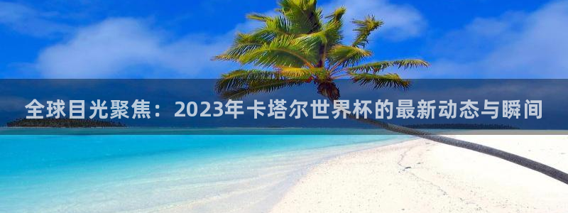 英足总杯直播：全球目光聚焦：2023年卡塔尔世界杯的最新动态与瞬间