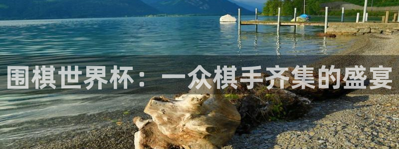 2026世界杯亚洲区预选赛赛程：围棋世界杯：一众棋手齐集的盛宴