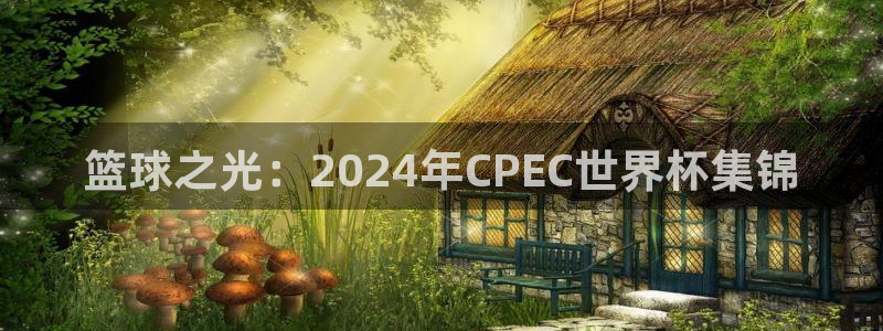 2026男足世界杯：篮球之光：2024年CPEC世界杯集锦