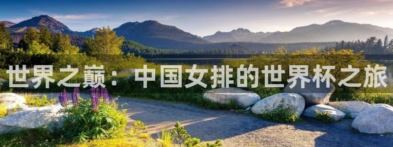 世界杯欧洲区世预赛赛程：世界之巅：中国女排的世界杯之旅