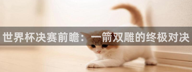 世界杯直播在线观看入口：世界杯决赛前瞻：一箭双雕的终极对决