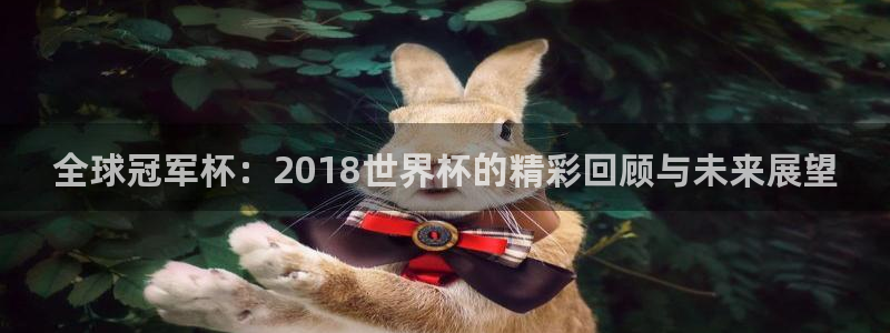26世界杯:全球冠军杯:2018世界杯的精彩回顾与未来展望