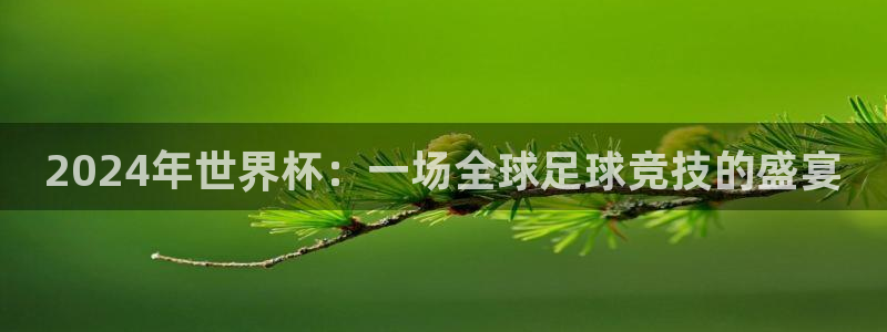 世界杯 直播：2024年世界杯：一场全球足球竞技的盛宴