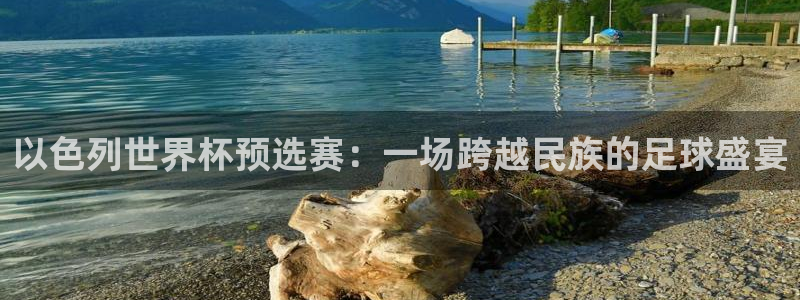 看世界杯：以色列世界杯预选赛：一场跨越民族的足球盛宴