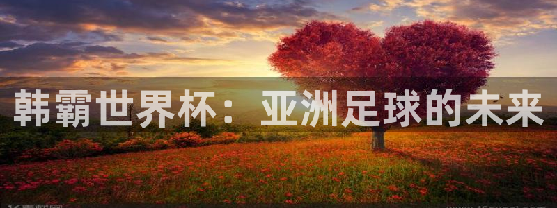 今年的世界杯：韩霸世界杯：亚洲足球的未来