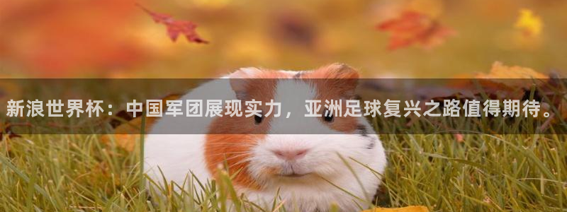 世界杯足球赛2026赛程时间：新浪世界杯：中国军团展现实力，亚洲足球复兴之路值得期待。
