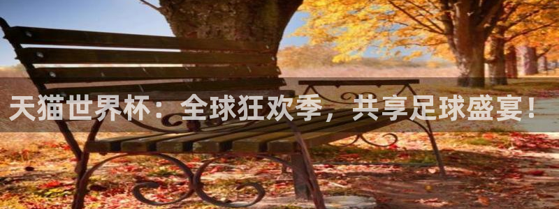 世界杯今年：天猫世界杯：全球狂欢季，共享足球盛宴！